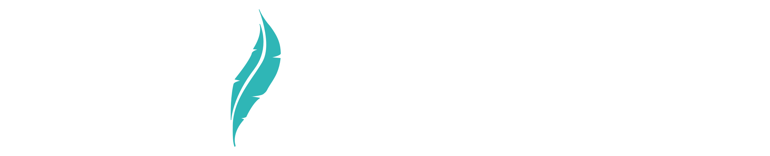 DuffyTechnologies